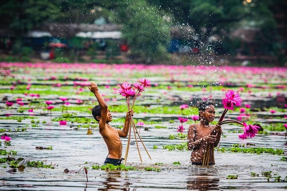 hai đứa trẻ đang chơi trong một ao hoa màu hồng
