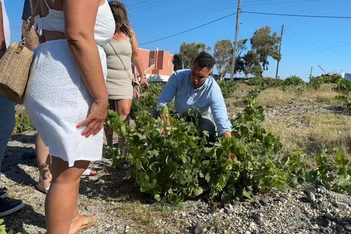 Φωτογραφία αξιοθέατου 4