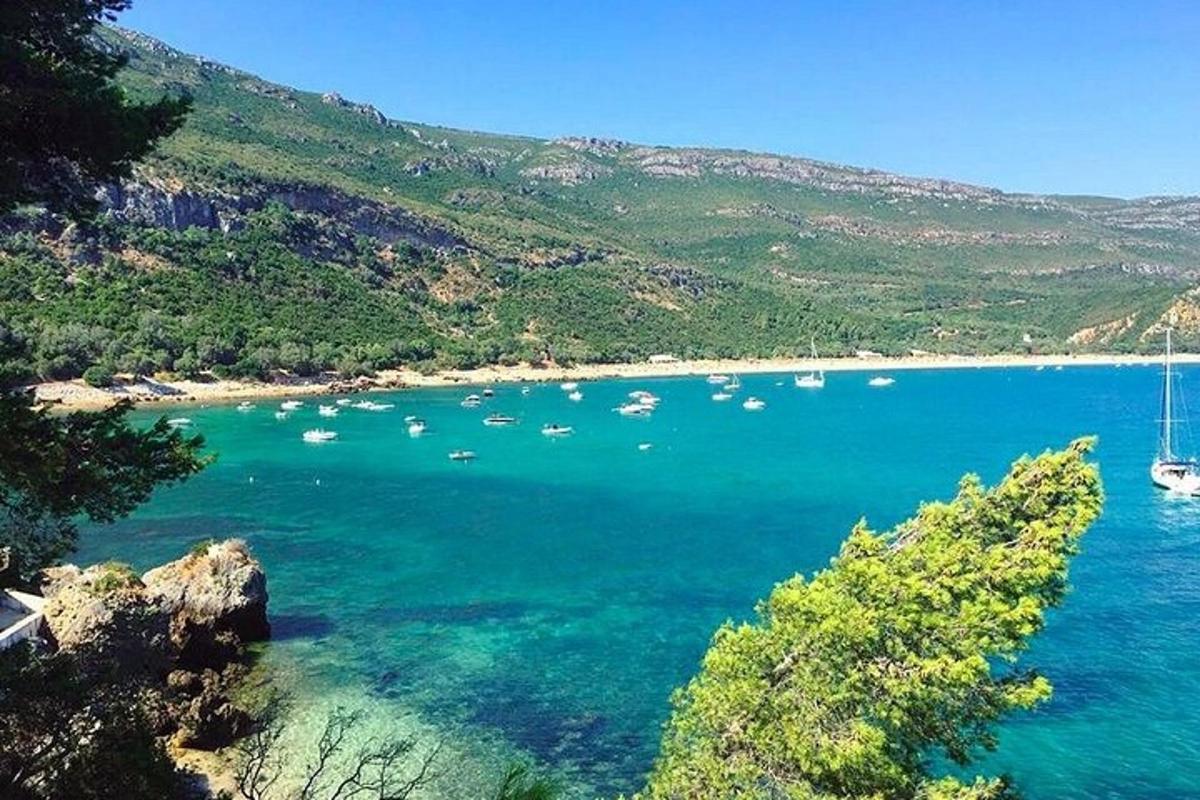 uma vista de um grande corpo de água com barcos