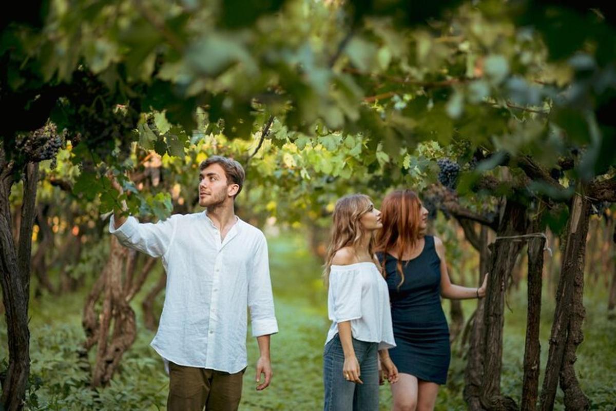a man and two women walking through a vineyard