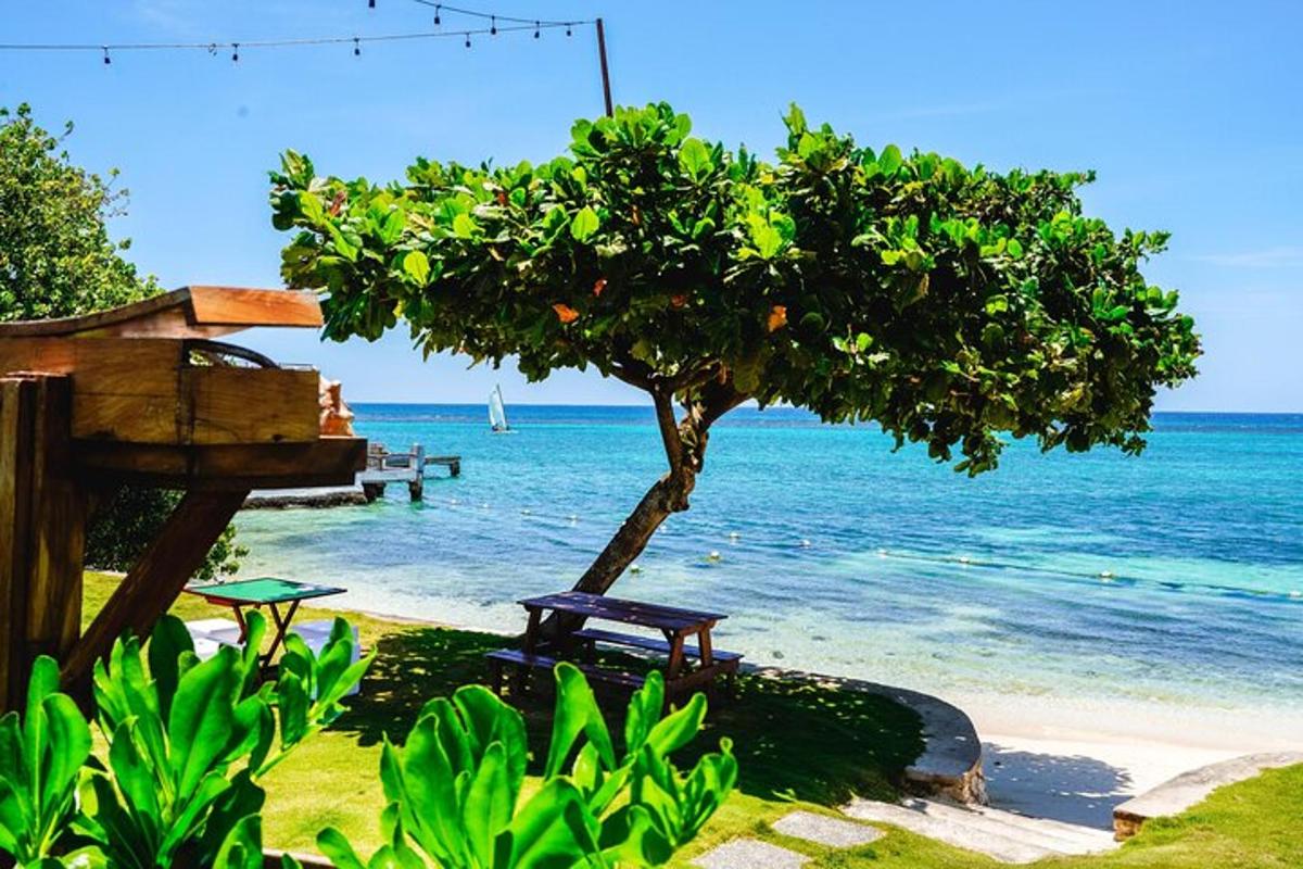 sebuah bangku duduk di sebelah pokok di pantai