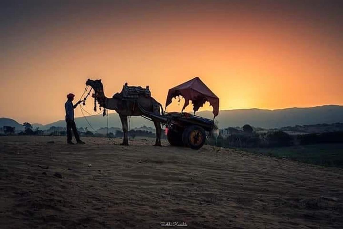a man standing next to a horse pulling a cart