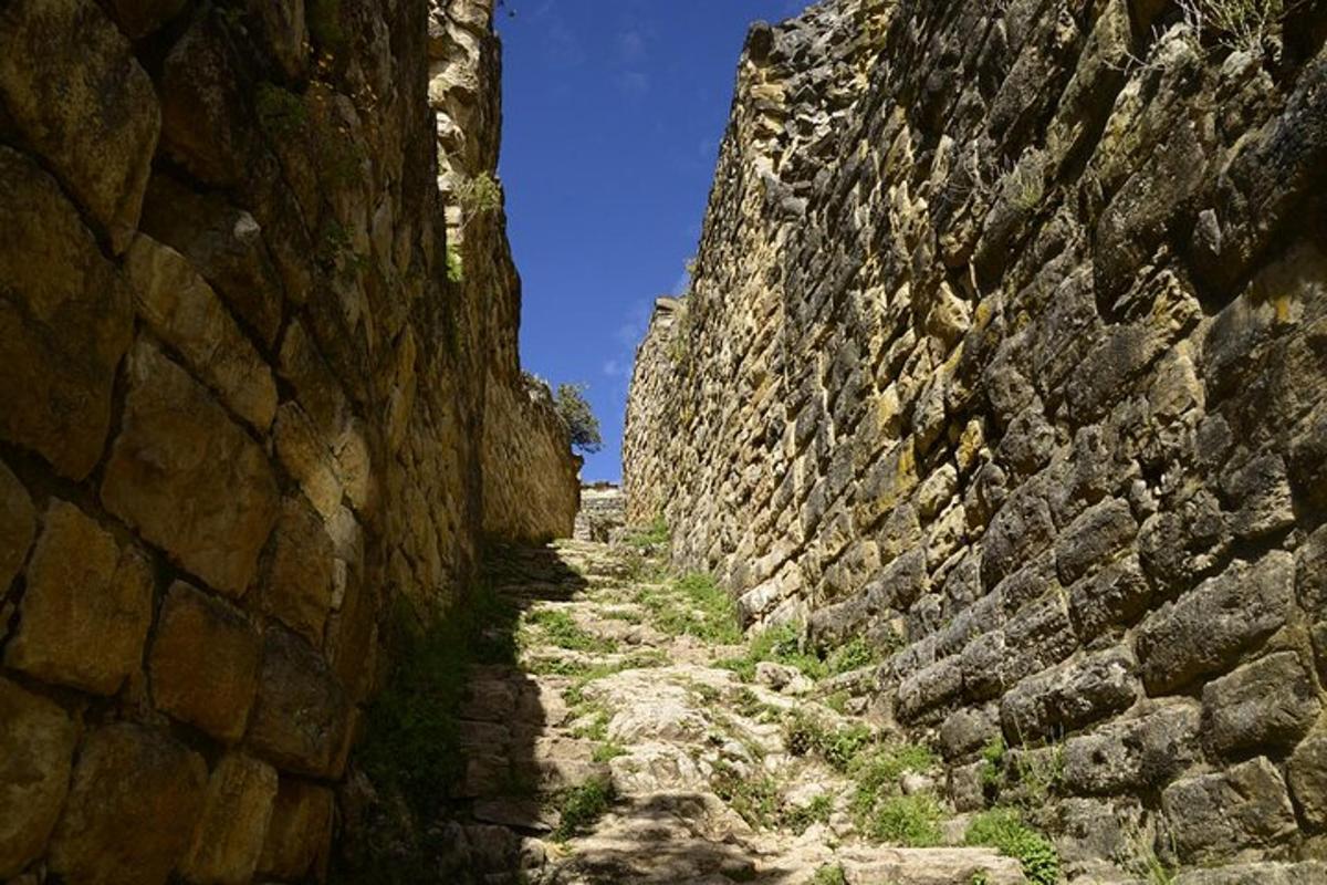 Lankytinos vietos ar pramogos nuotrauka numeris 6