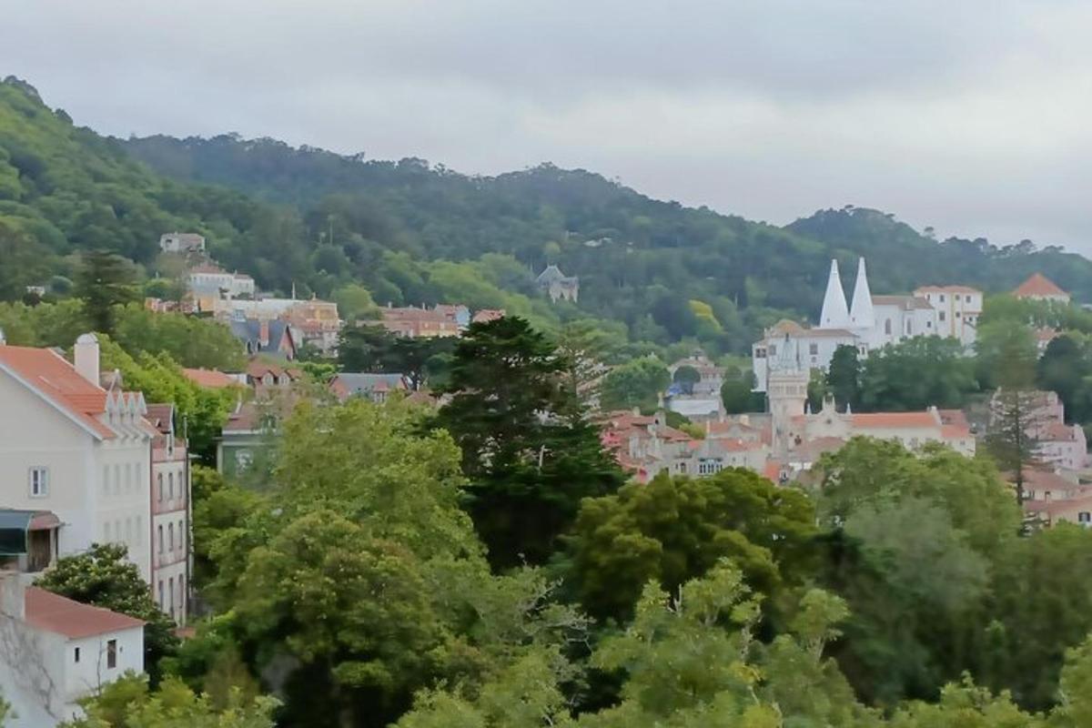 panoráma mesta s horami v pozadí