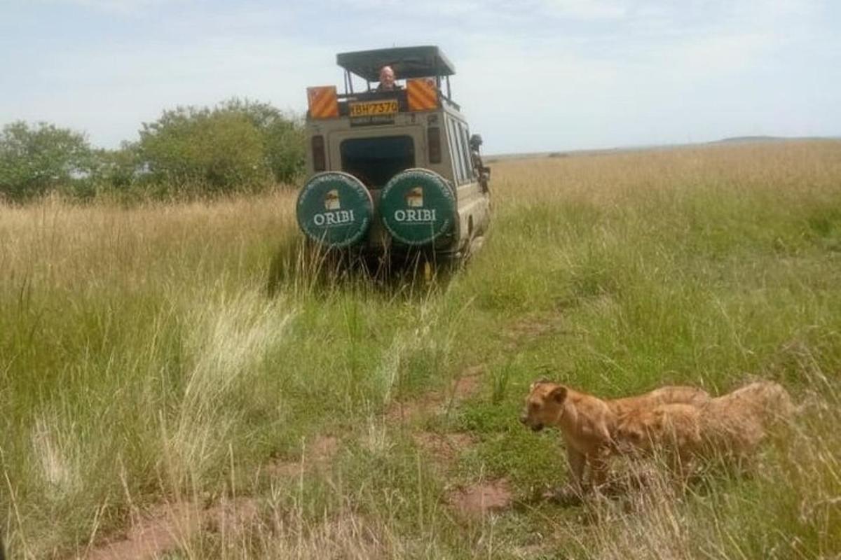un cane in piedi in un campo accanto a un veicolo