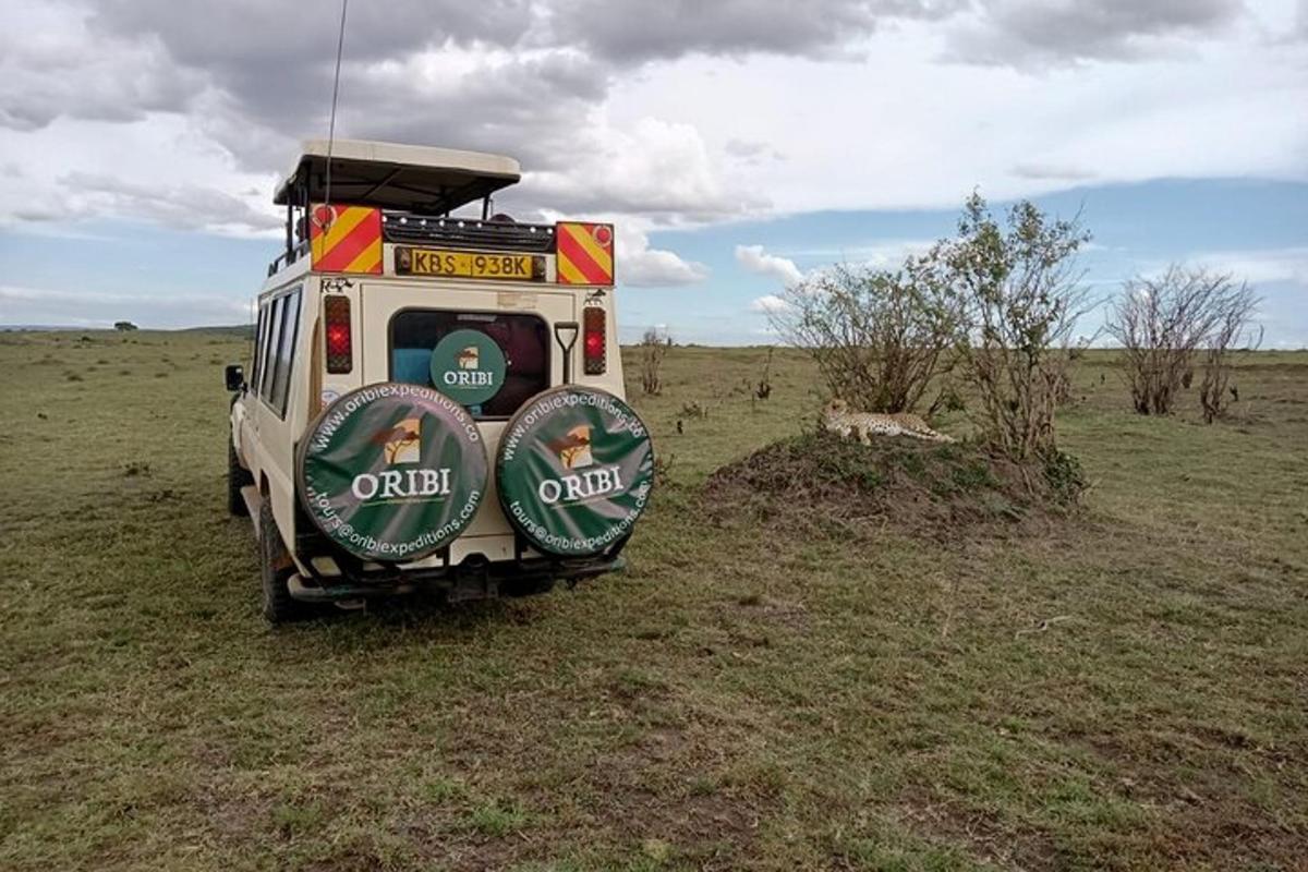 egy mező közepén parkoló jármű
