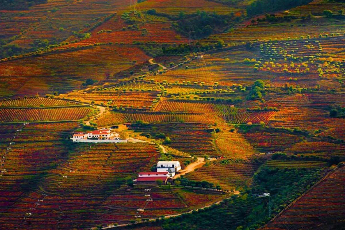 an aerial view of a farm in a field