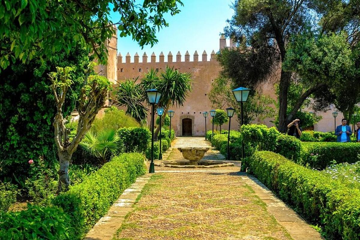 Un jardín con arbustos y luces y un castillo.