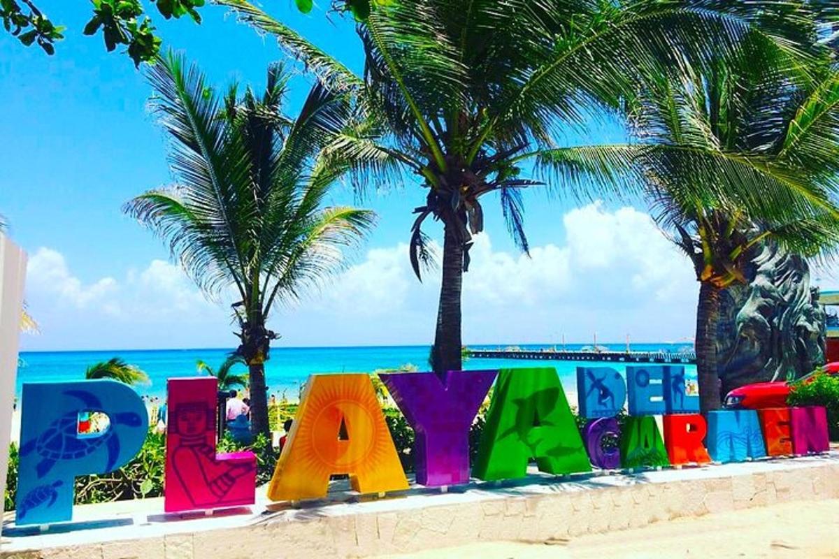 tanda warna-warni di pantai dengan pohon palem
