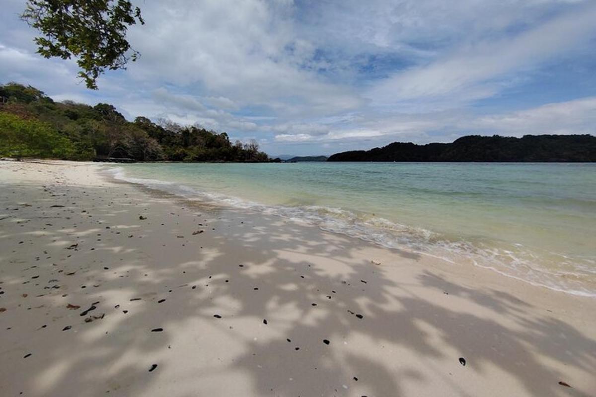 homokos strand fákkal és vízzel