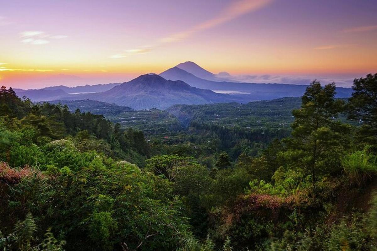 a view of a mountain at sunset with trees