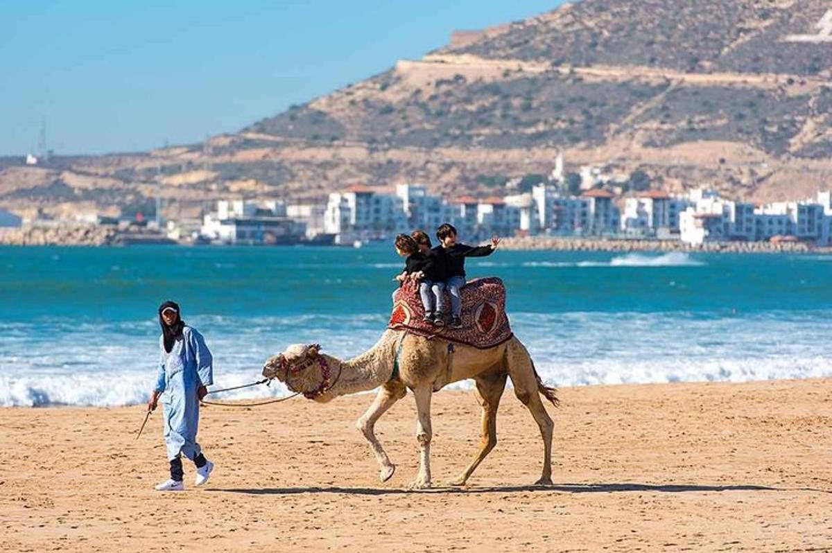 Lankytinos vietos ar pramogos nuotrauka numeris 5