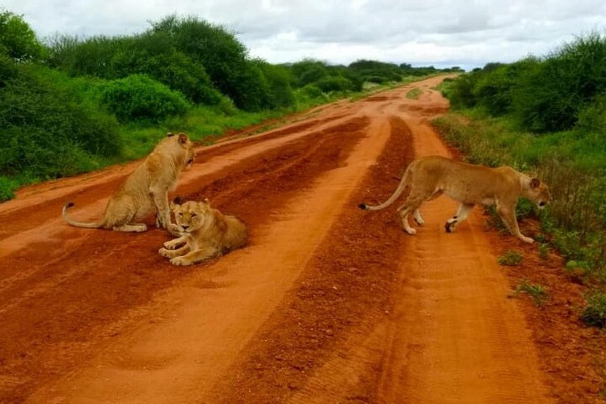 Foto 5 da atração