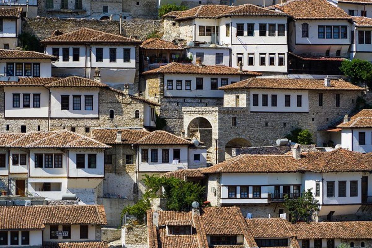 un grande gruppo di case con tetti di tegole