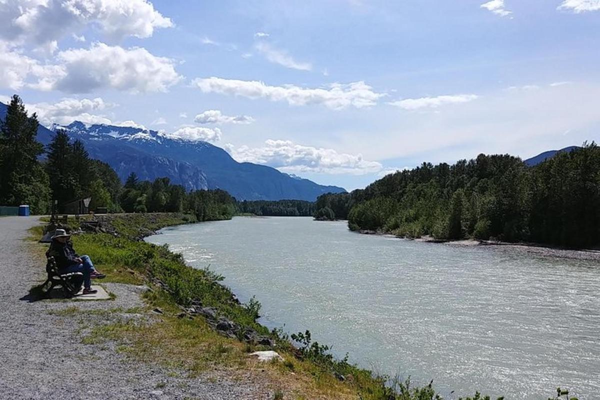 a person sitting in a wheelchair next to a river