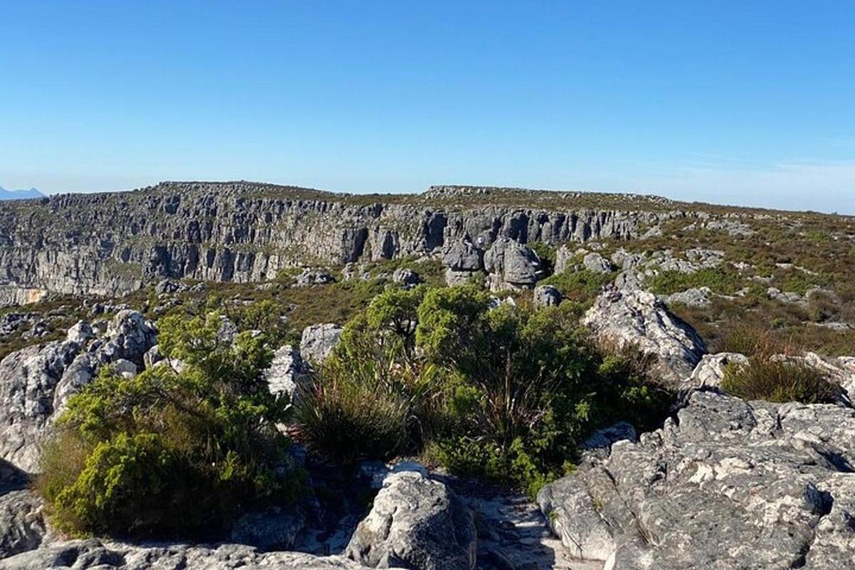 pemandangan gunung dengan batu dan semak