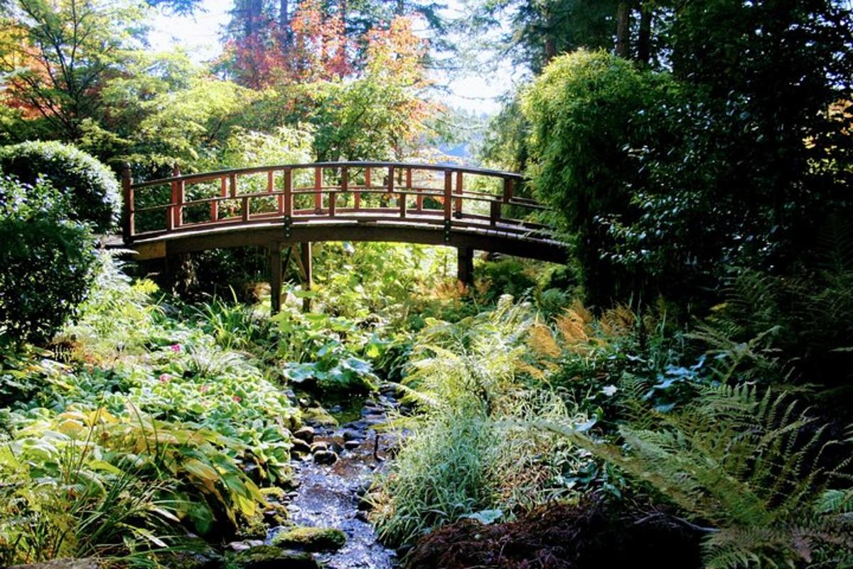 uma ponte de madeira sobre um riacho em um jardim