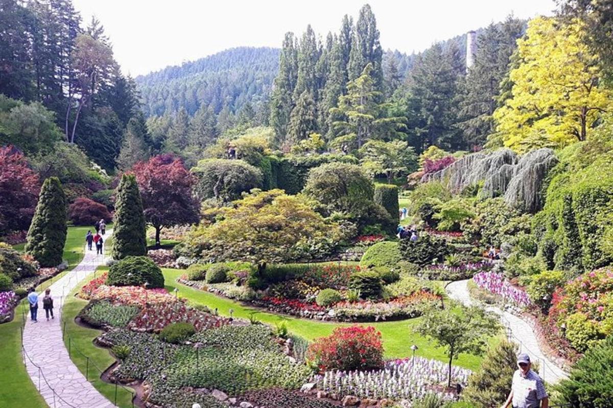 a garden with many bushes and flowers in a park