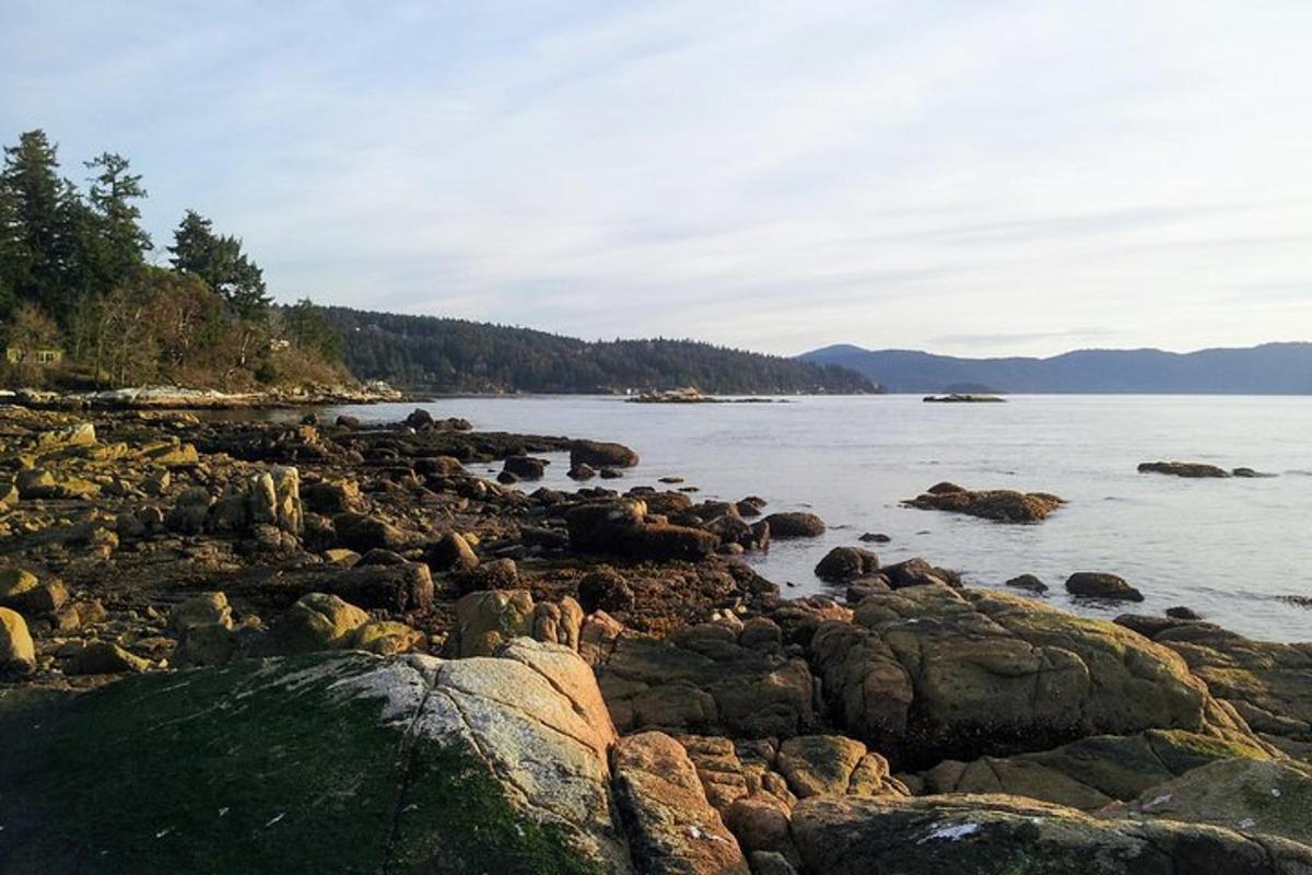 a group of rocks on the shore of a body of water