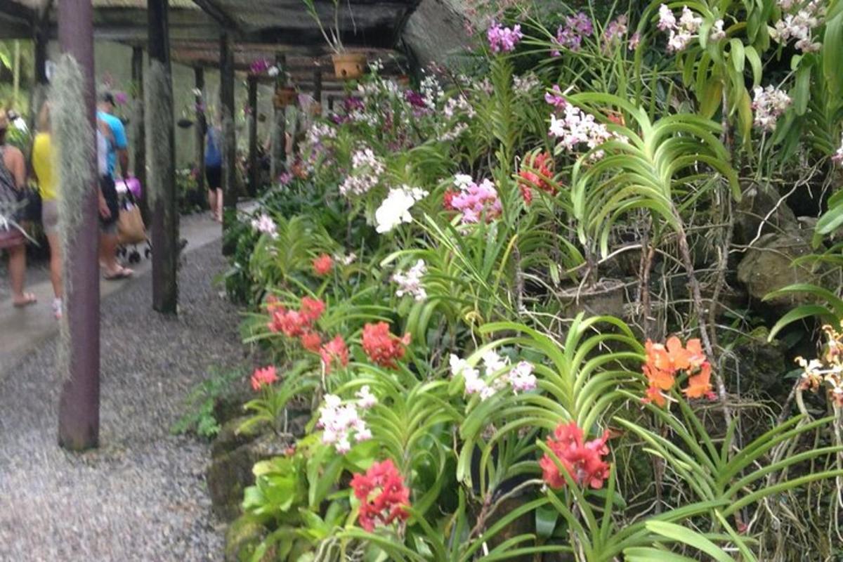 a garden with colorful flowers in a building