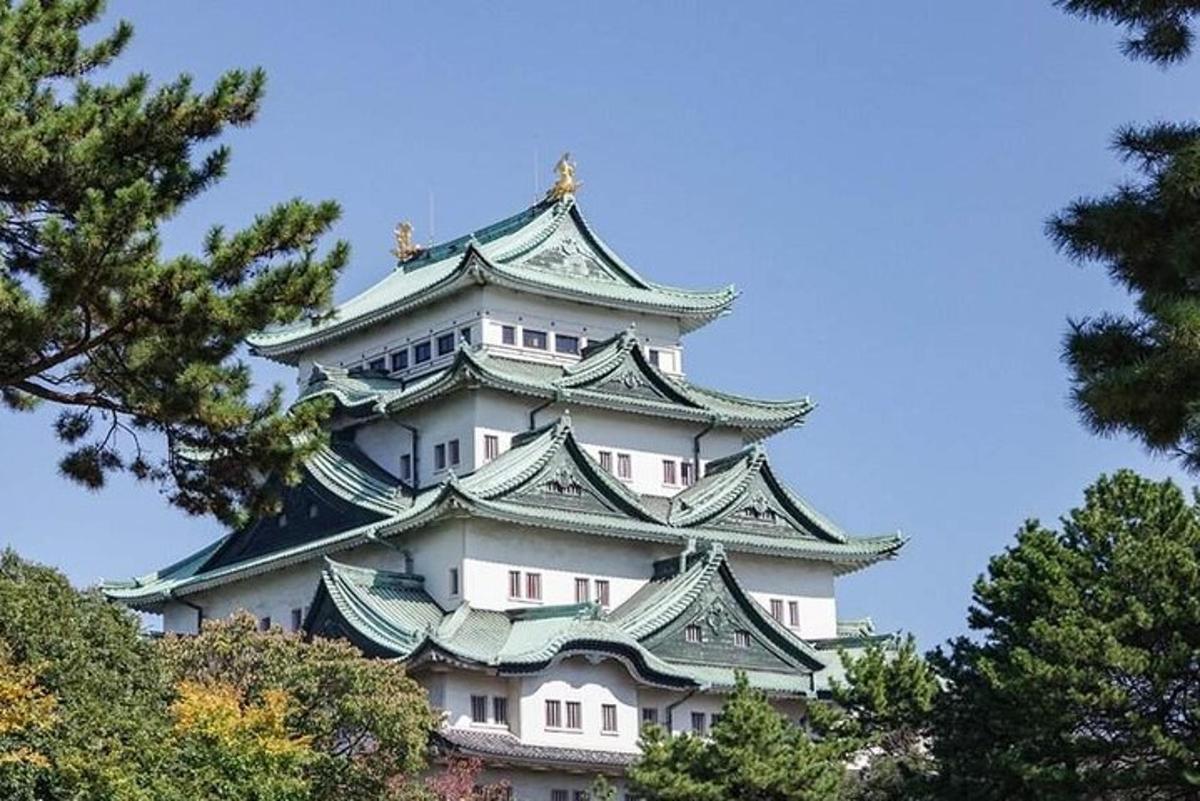 japonski grad z drevesi v ospredju