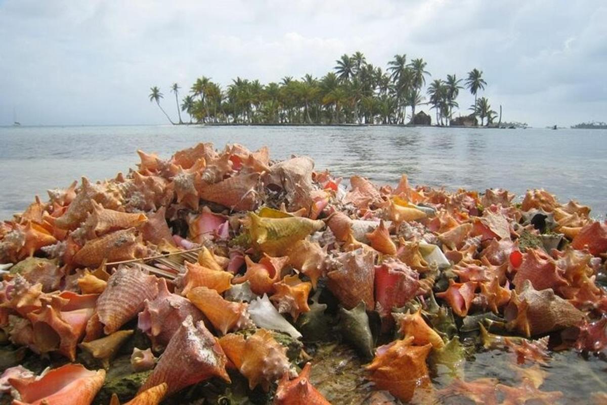 un mucchio di spazzatura su una spiaggia in acqua