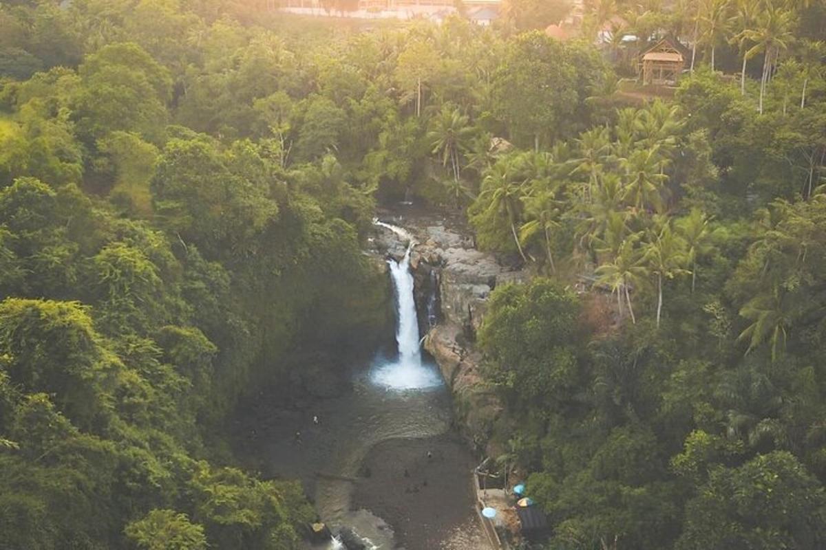 uma vista aérea de uma cachoeira em uma floresta