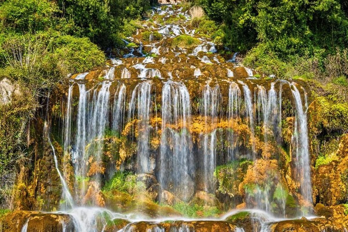 una cascata sul fianco di una montagna con alberi
