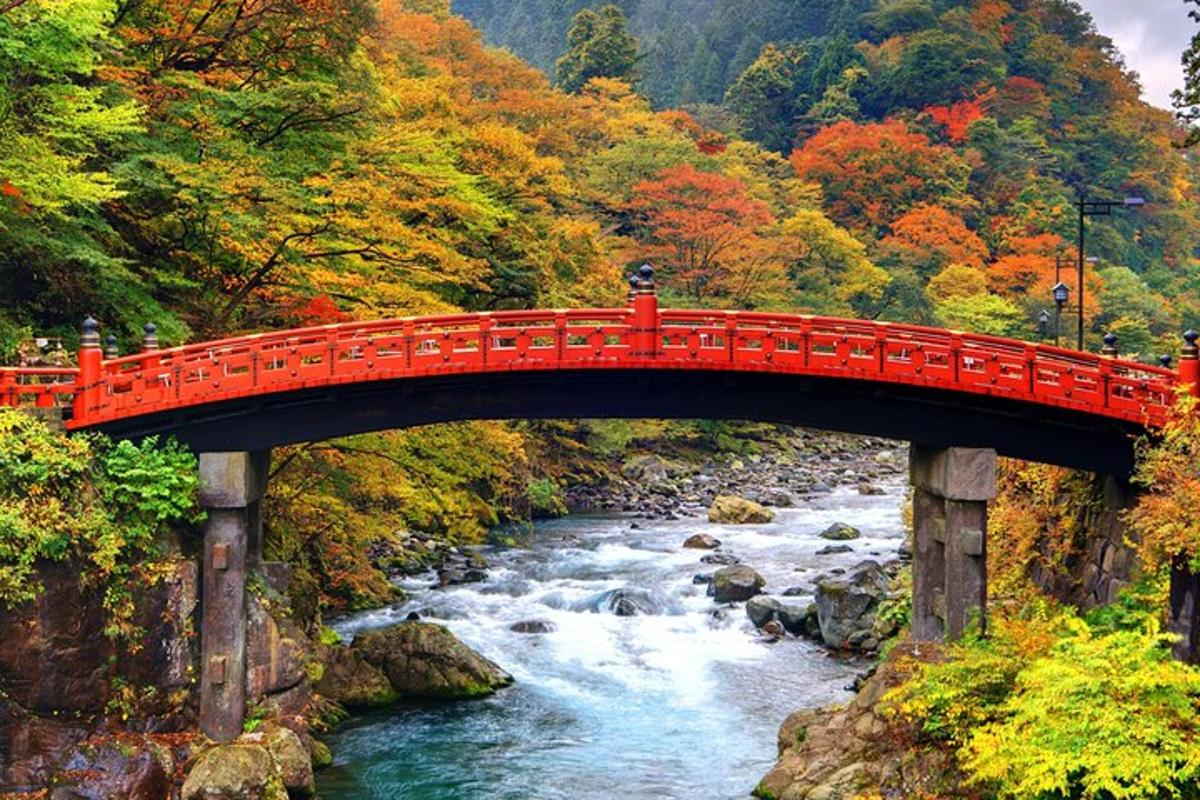 un ponte rosso sopra un fiume in una foresta