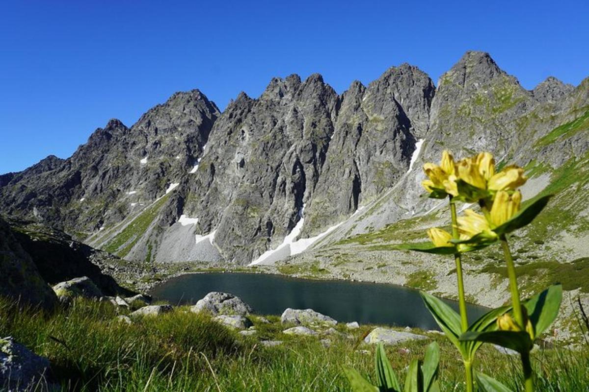 Ljósmynd af afþreyingu 6