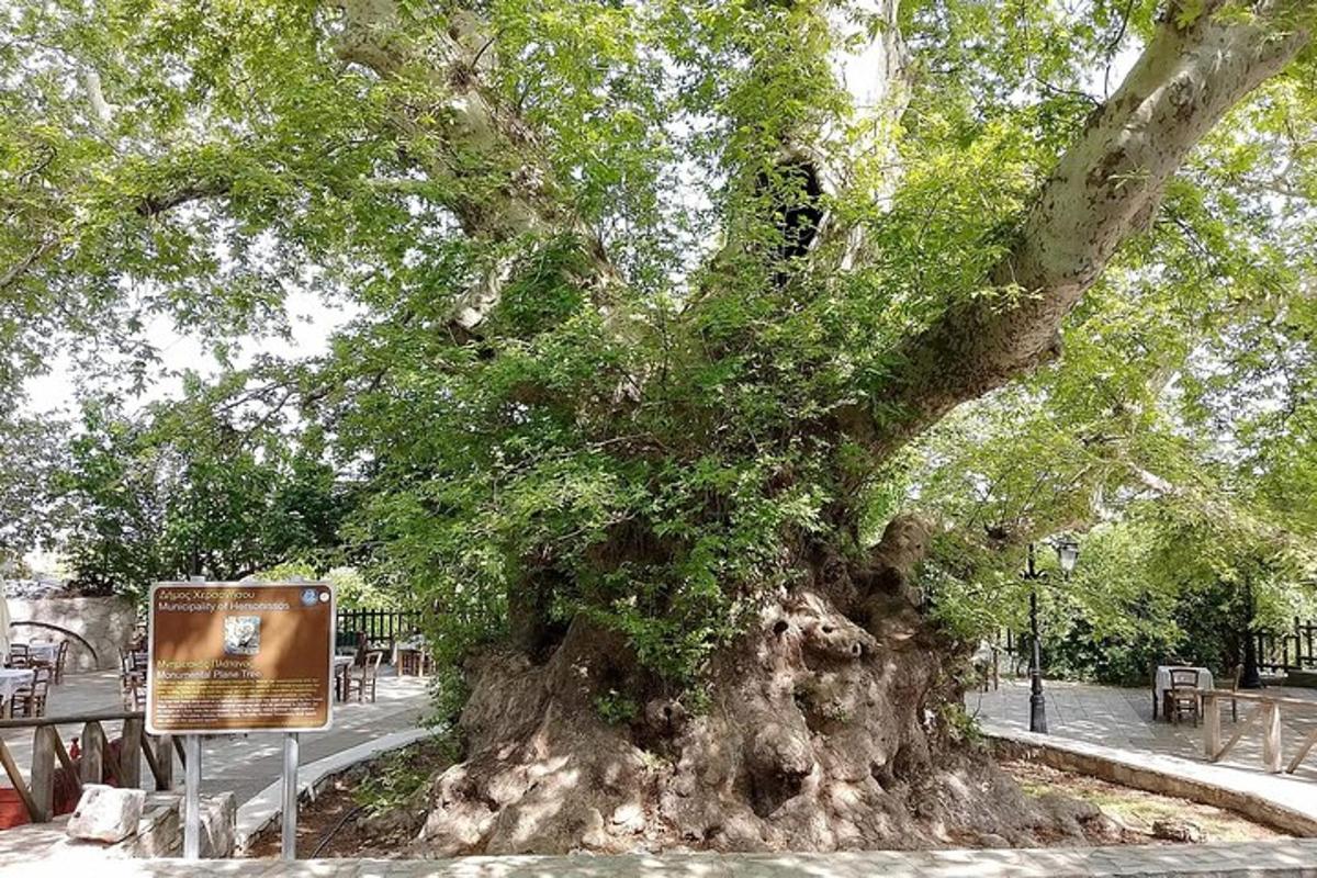 Foto 5 de l'atracció turística