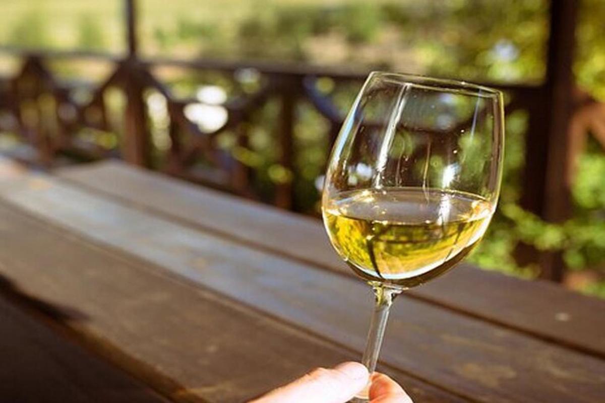 oseba, ki drži kozarec belega vina