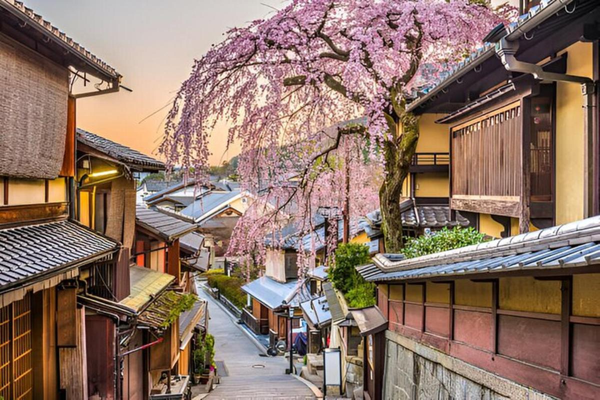 una strada cittadina con edifici e un albero con fiori rosa