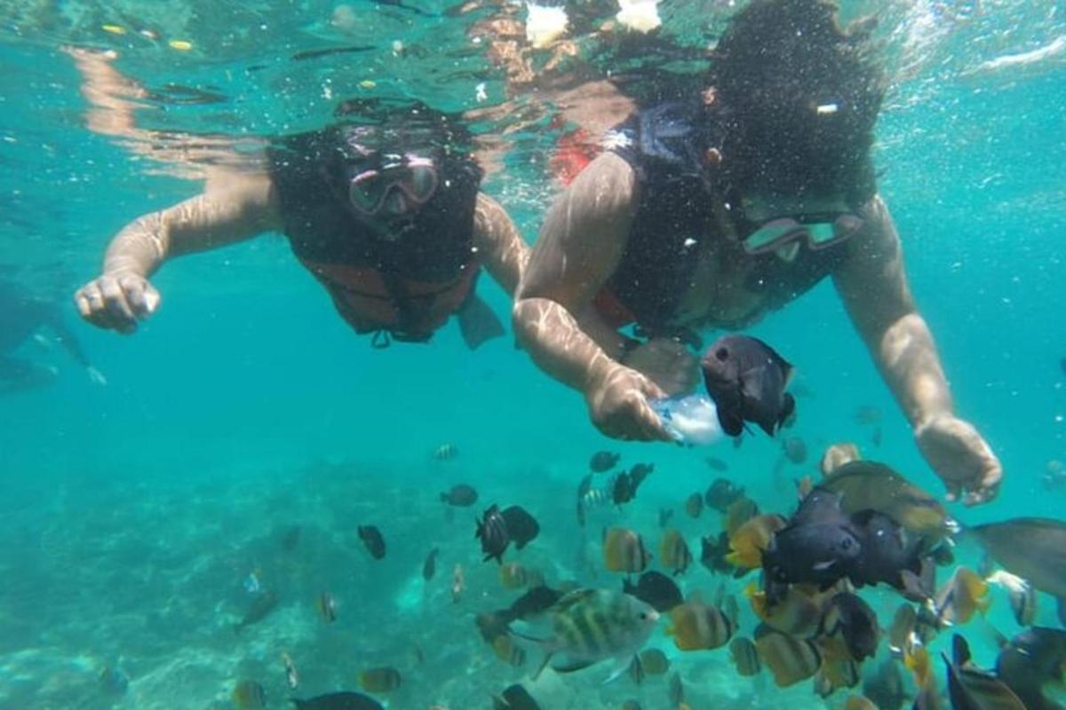 un uomo sta nuotando nell'acqua con i pesci
