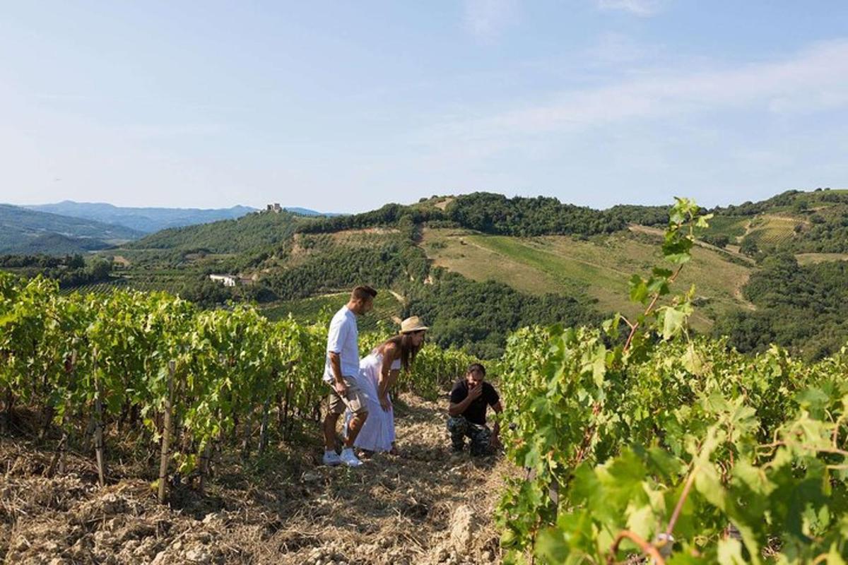 un gruppo di persone in piedi in un vigneto