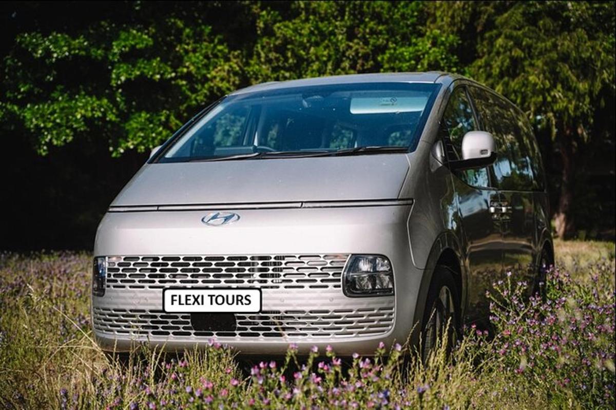 un'auto argentata parcheggiata in un campo di fiori