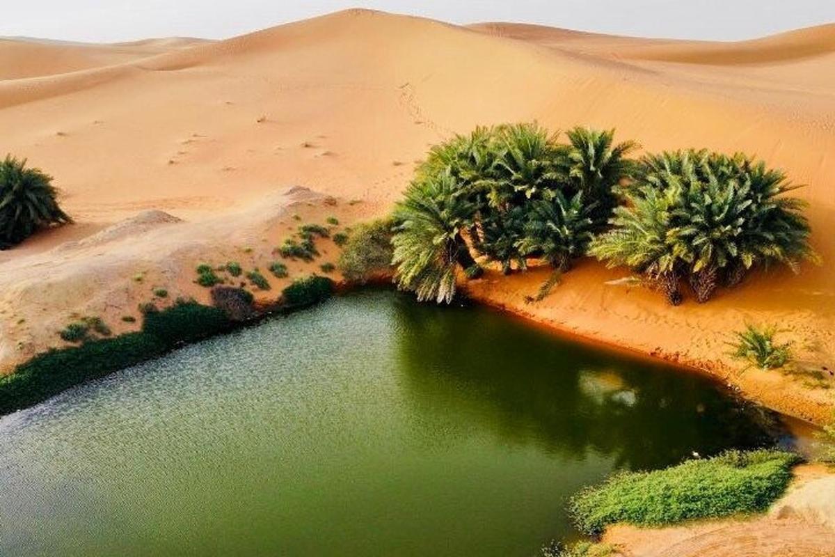 an aerial view of a body of water in the desert