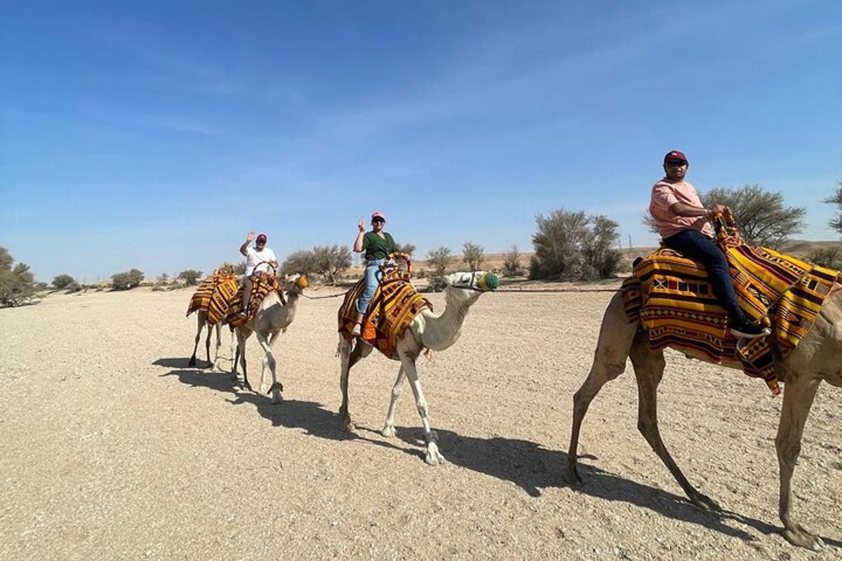 a group of people riding on camels in the desert