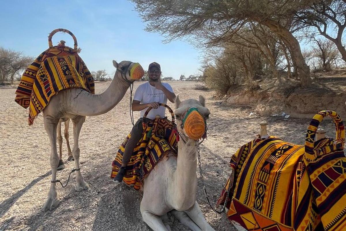 a man sitting on a camel in the desert