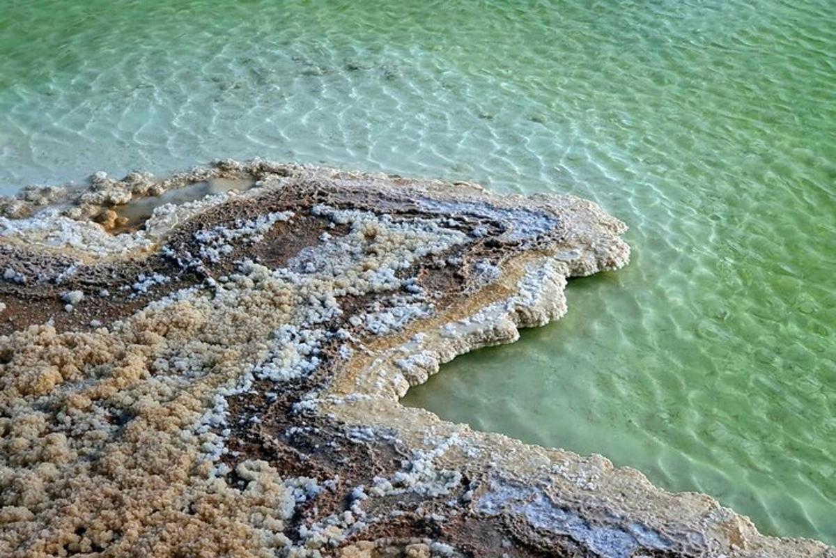 an aerial view of the shoreline of a body of water
