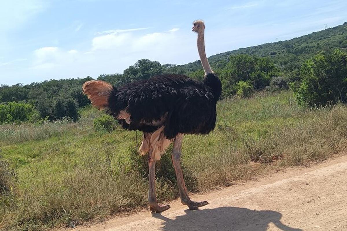 Fotografia da atração 3