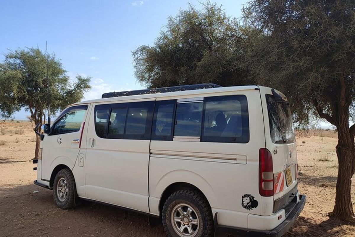 un furgone bianco parcheggiato davanti a un albero