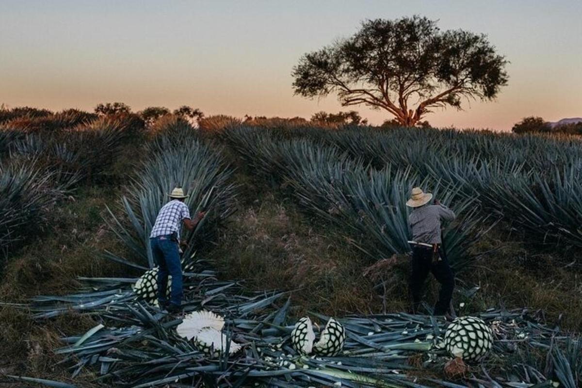 Fotografia da atração 3