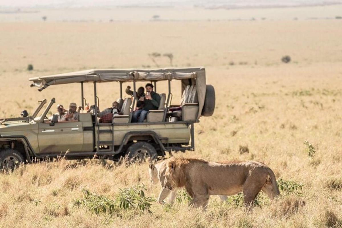 un grup de persones en un vehicle de safari amb un lleó