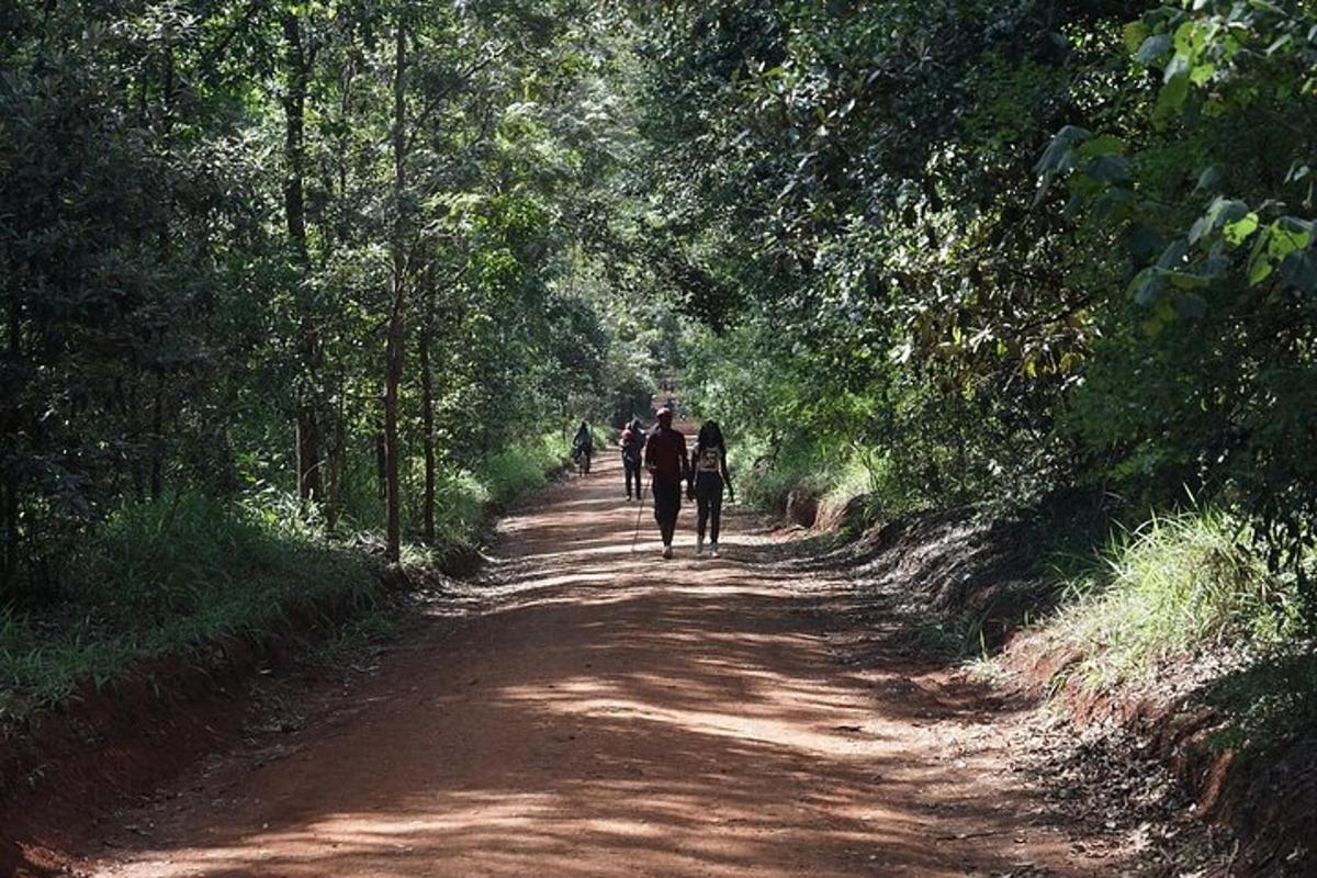 un grup de persones caminant per un camí de terra
