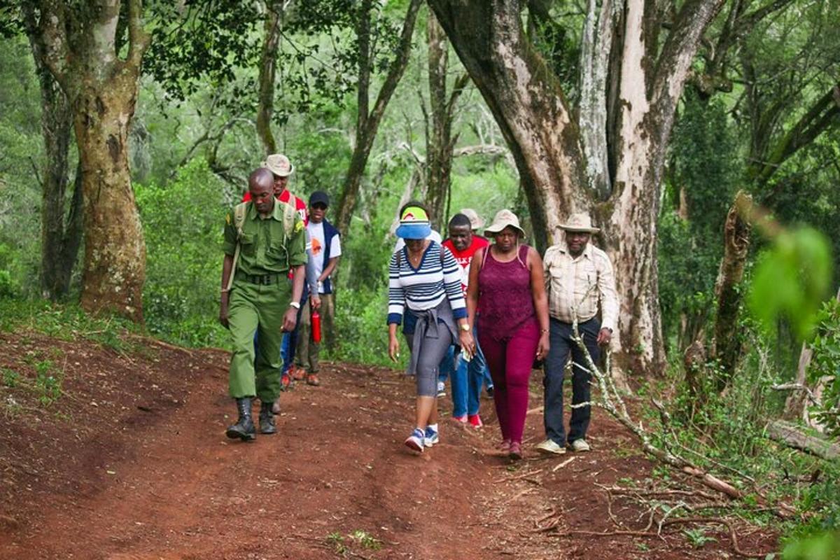 un grup de persones caminant per un camí de terra