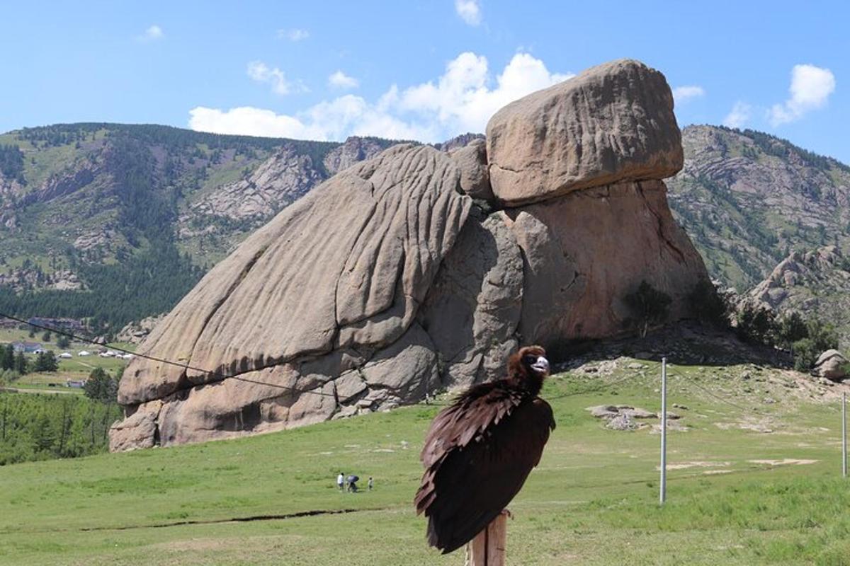 a bird on a pole in front of a rock formation