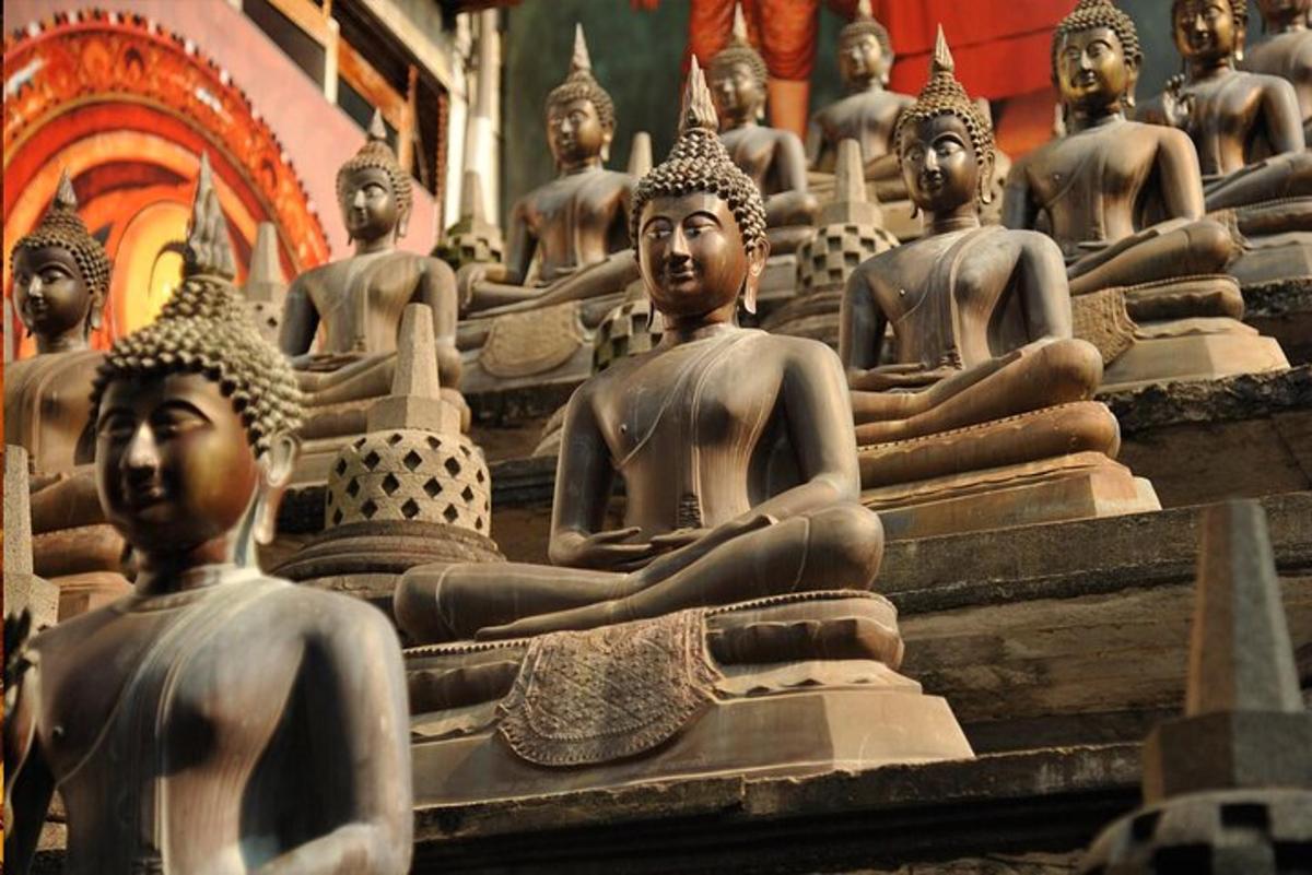 a bunch of buddha statues sitting in a row