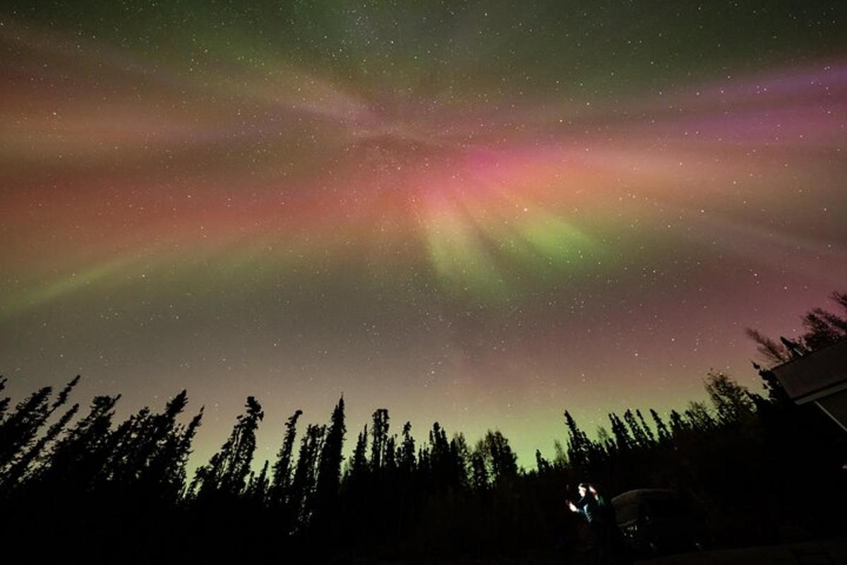 un cielo colorato con alberi e una persona in piedi in un campo