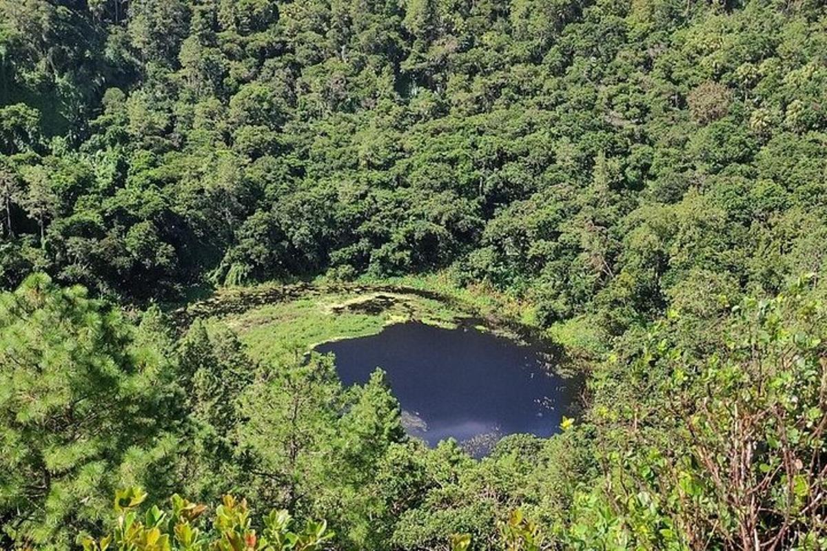 an aerial view of a crater in the middle of a forest